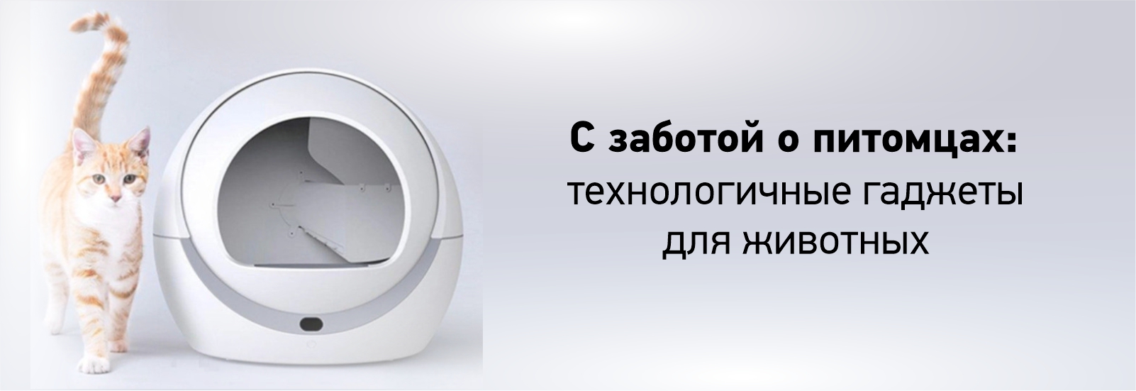 статьи_баннер.jpg