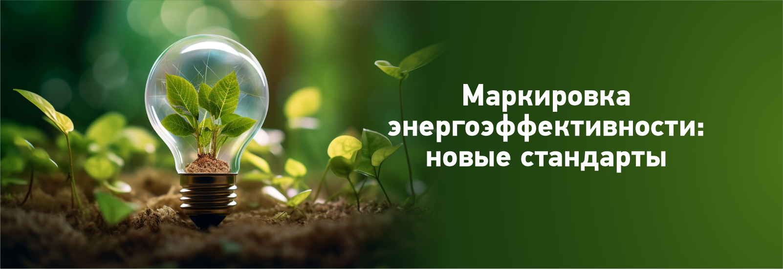 статьи_ЭНЕРГО 2.png