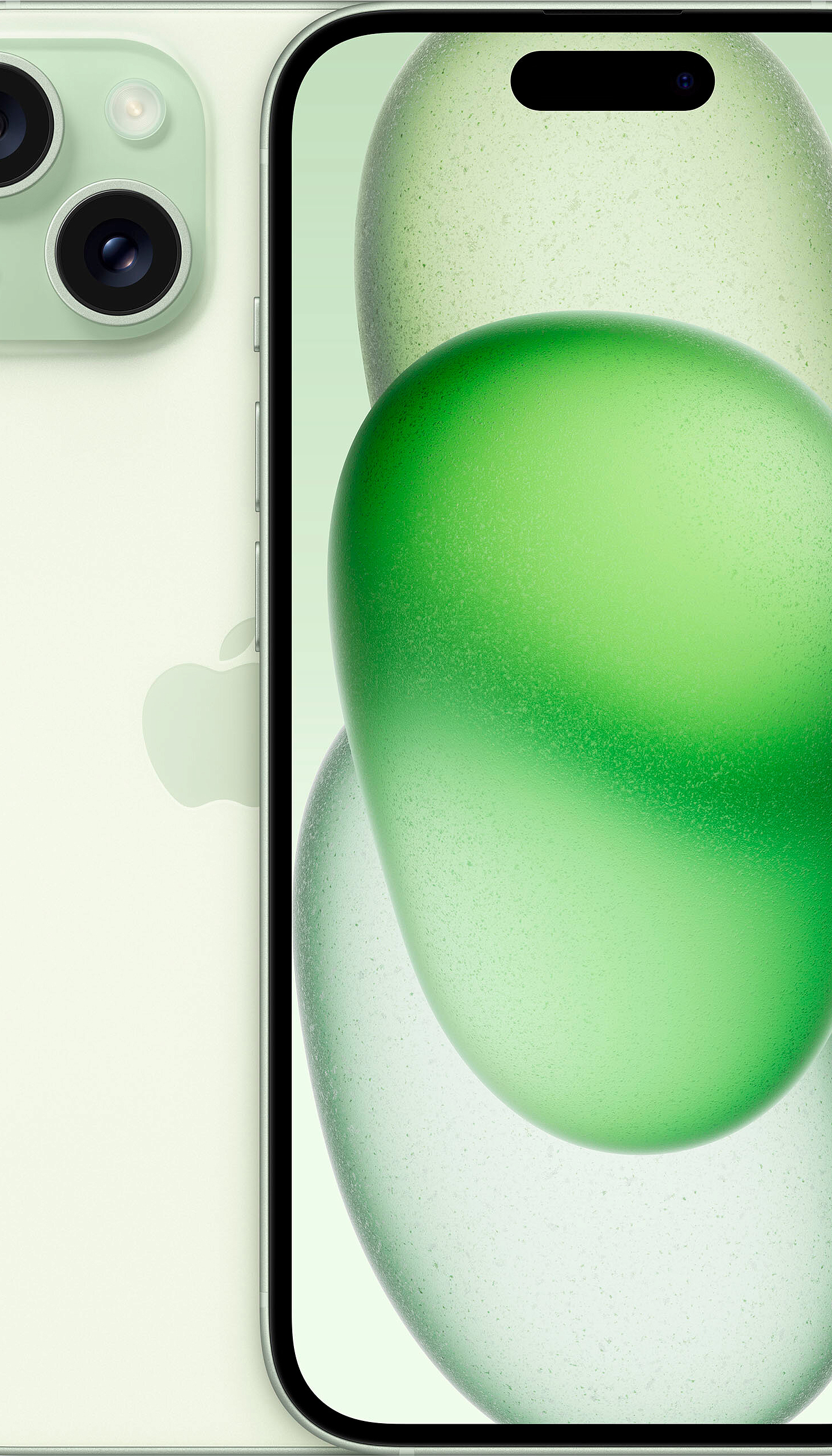 d79b691a_6cda_11ee_8187_005056